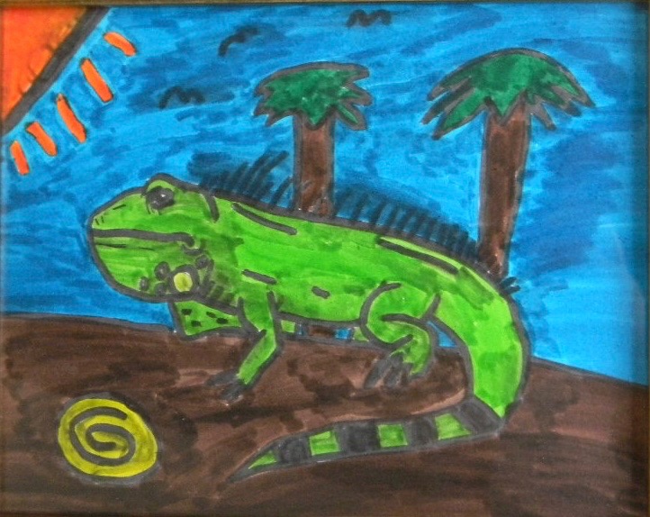 Green Iguana