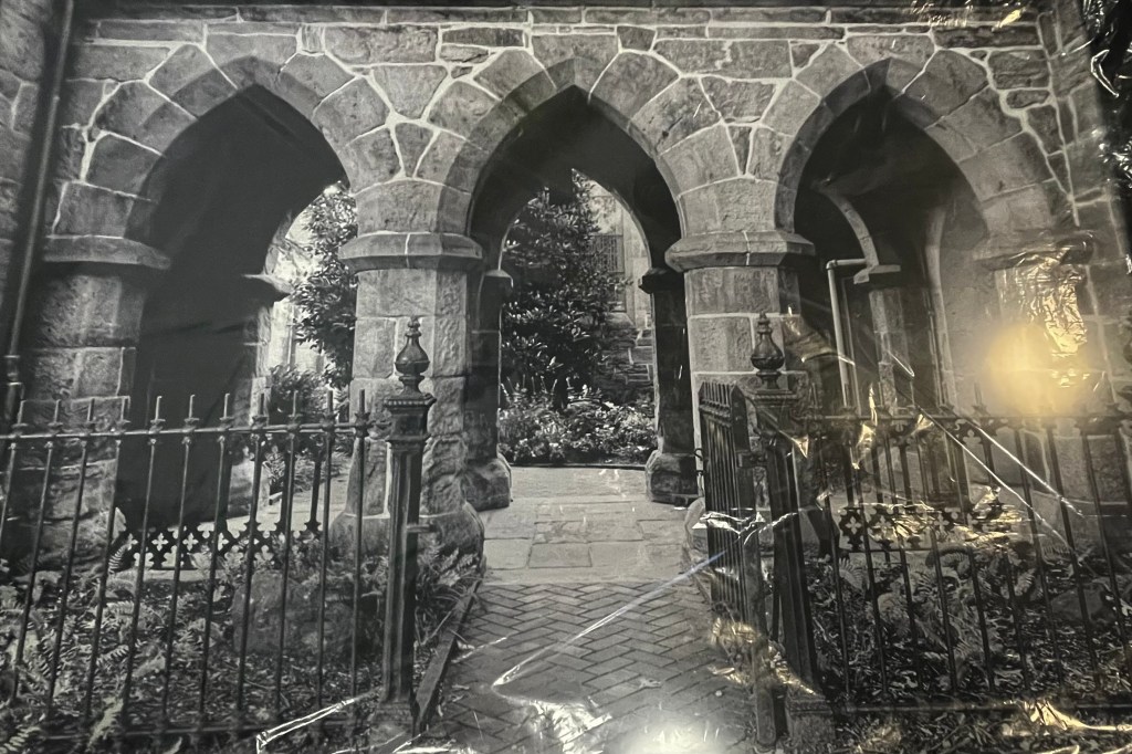 Into the Garden