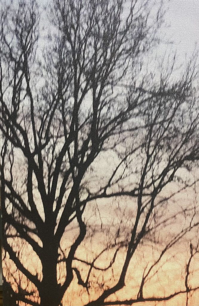 Approaching Sunset