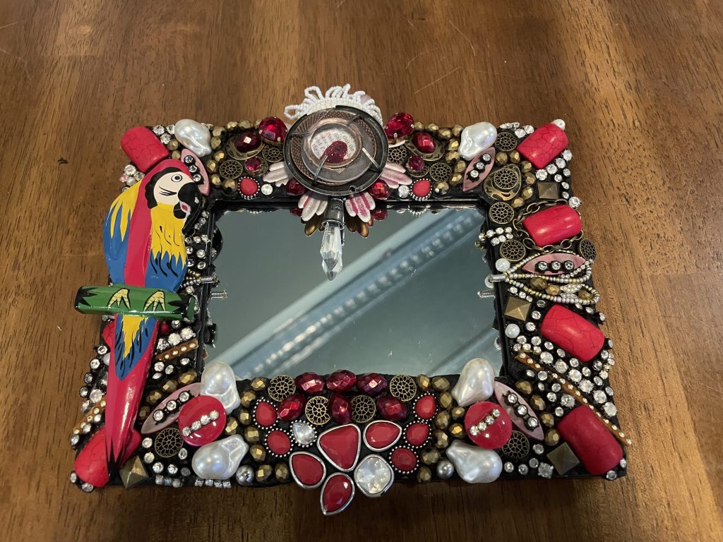 Parrot in Red Mirror